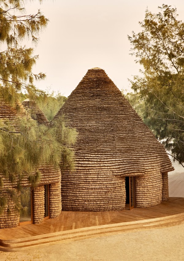 Africa 51