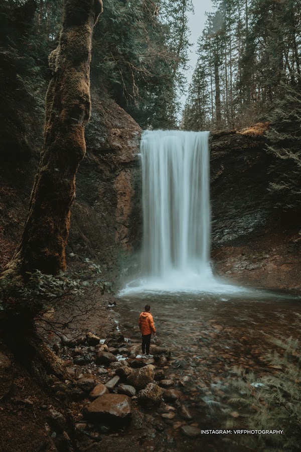 Ammonite Falls