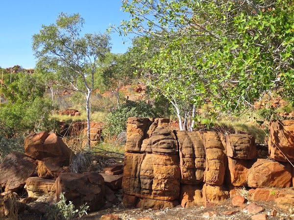Halls Creek 1