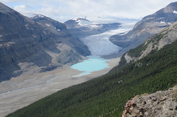 Saskatchewan Glacier