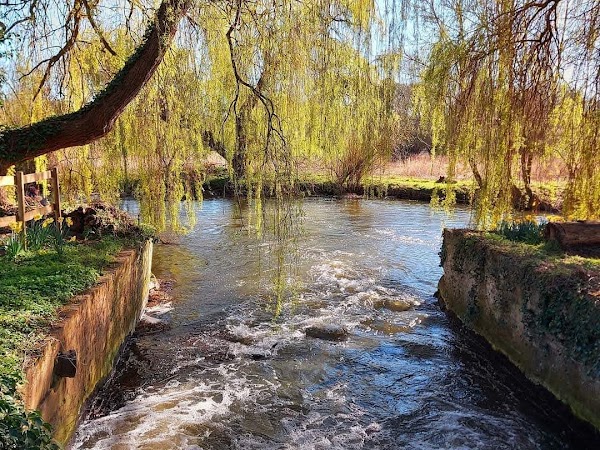 Taverham Mill