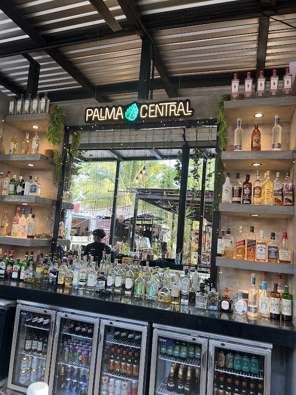 Palma Central 1
