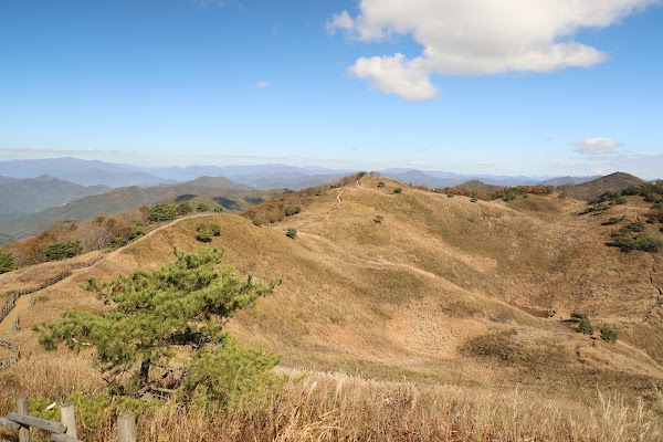 민둥산