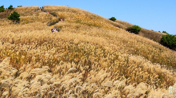 민둥산 3