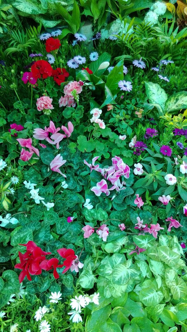 Jardín Botánico