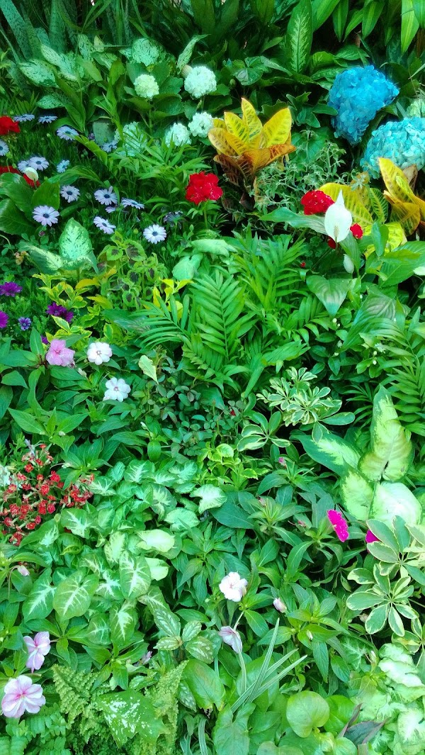 Jardín Botánico 2