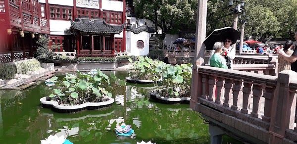 Jiuqu Bridge 5