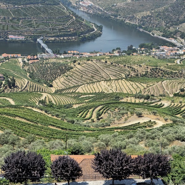 Miradouro Casal De Loivos 1