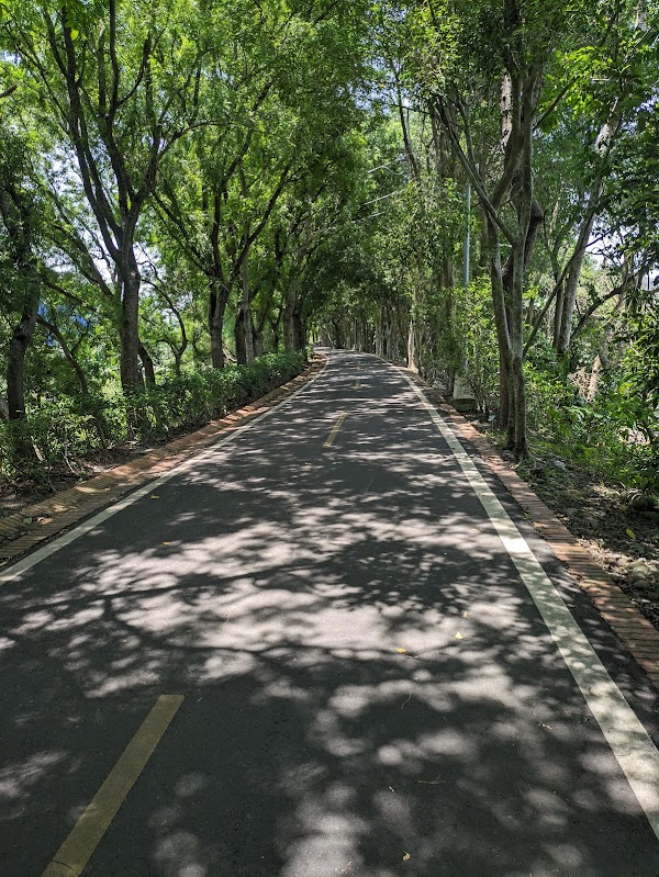 Dongfeng Bicycle Green Way