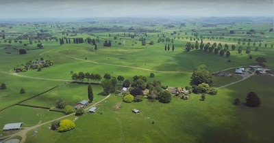 Canterbury Plains 1
