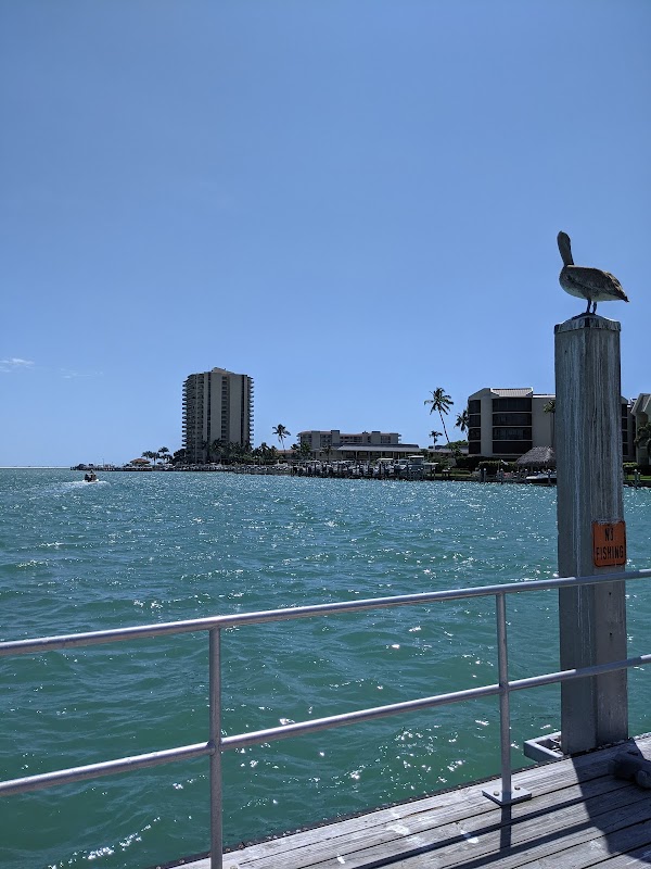 Marco Island 5