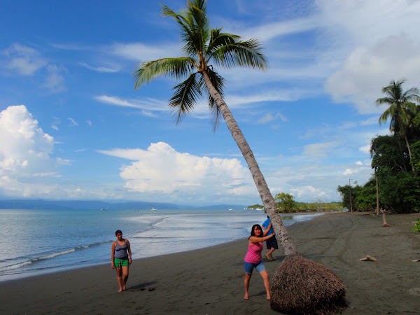Puerto Jiménez 5