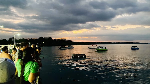 Puerto Jiménez 4