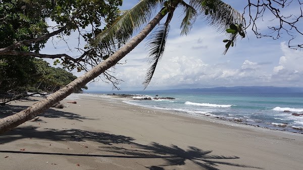 Puerto Jiménez 3