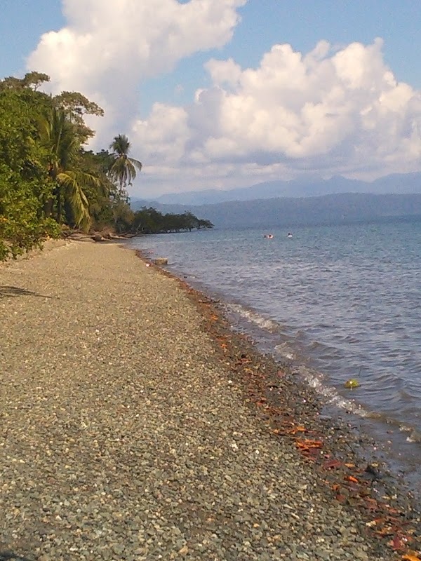 Puerto Jiménez 2
