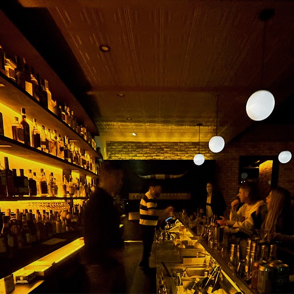 Swan Bar 1