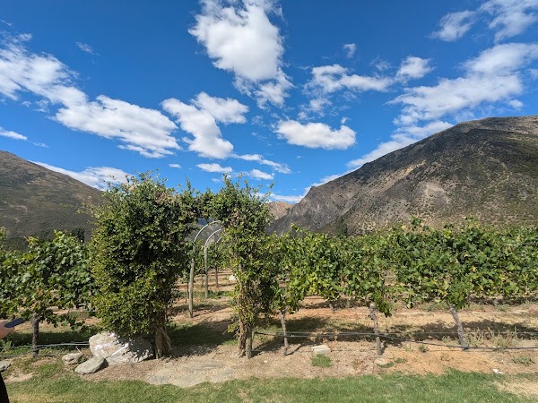 Brennan Wines