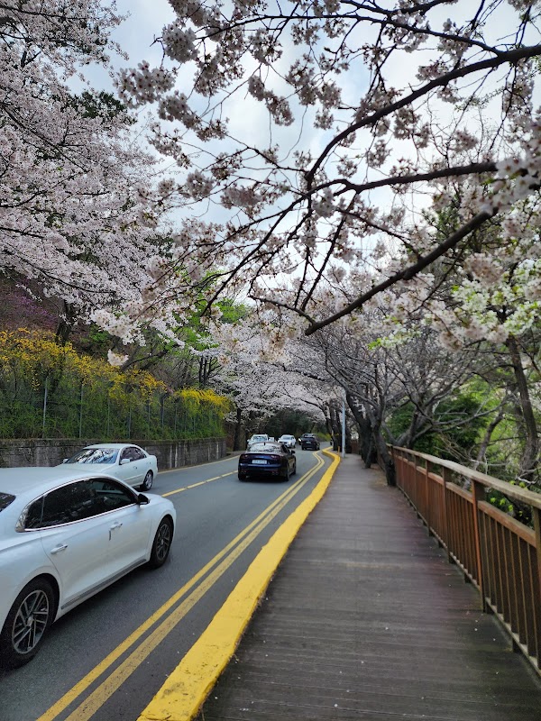 Dalmaji-gil Road 1