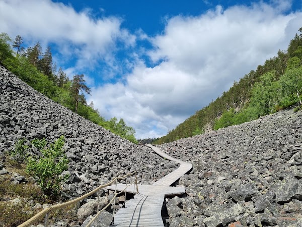 Pyhä-Luosto National Park