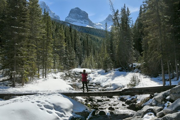 Three Sister Creek Trail