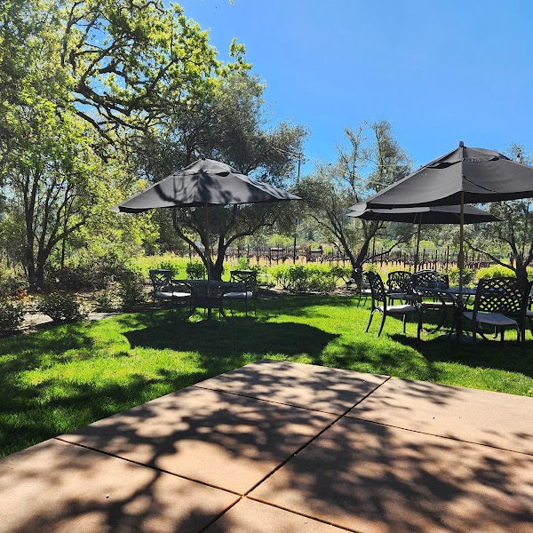Bennett Lane Winery 4