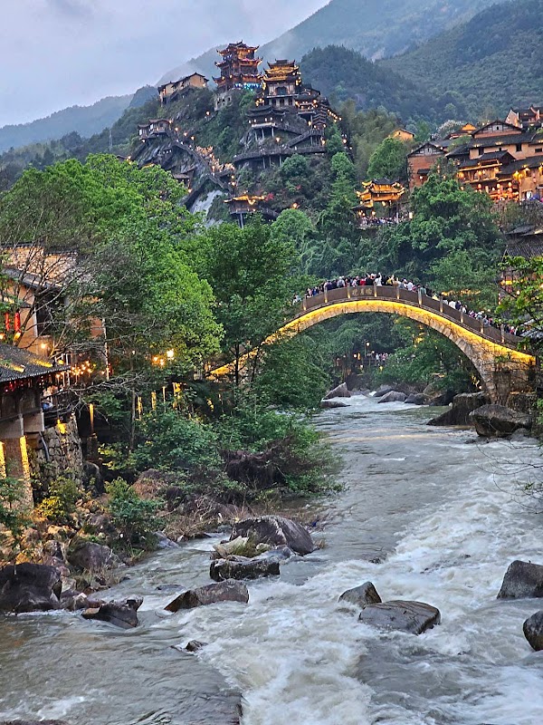 Shanghai 24