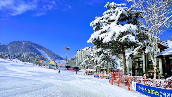 Monapark Yong Pyong Ski Resort 2