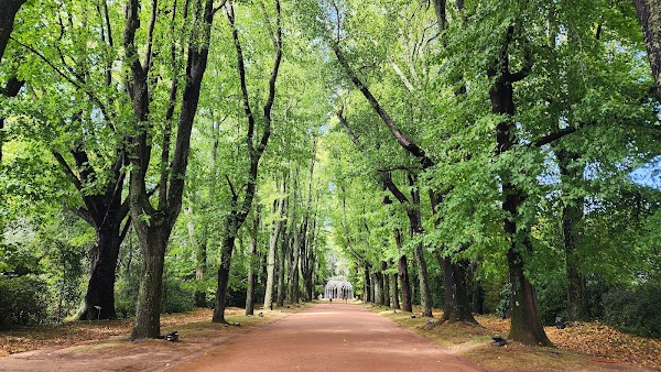 Museu de Arte Contemporânea de Serralves 3