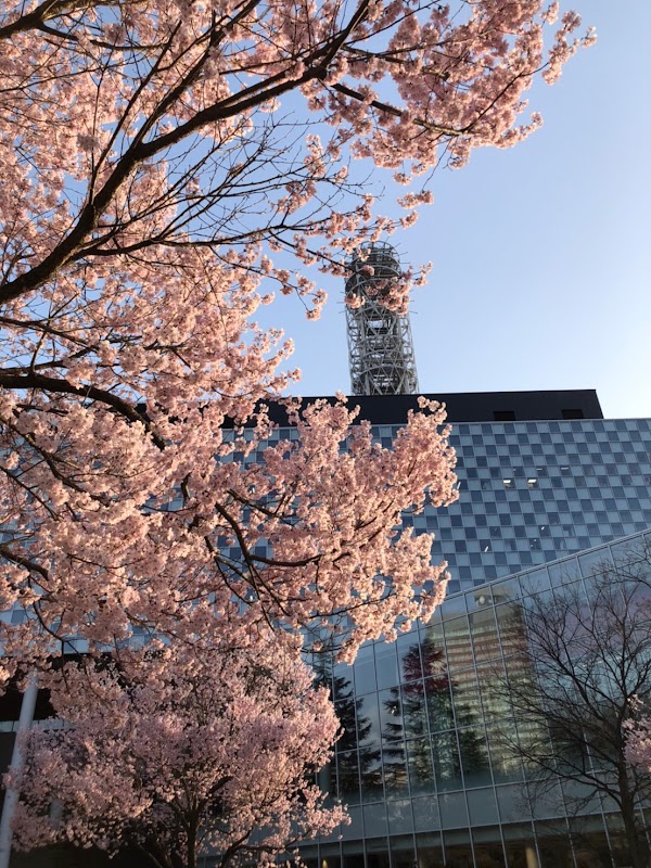 Sendai 2