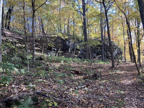 Sherwood Forest State Natural Area 1