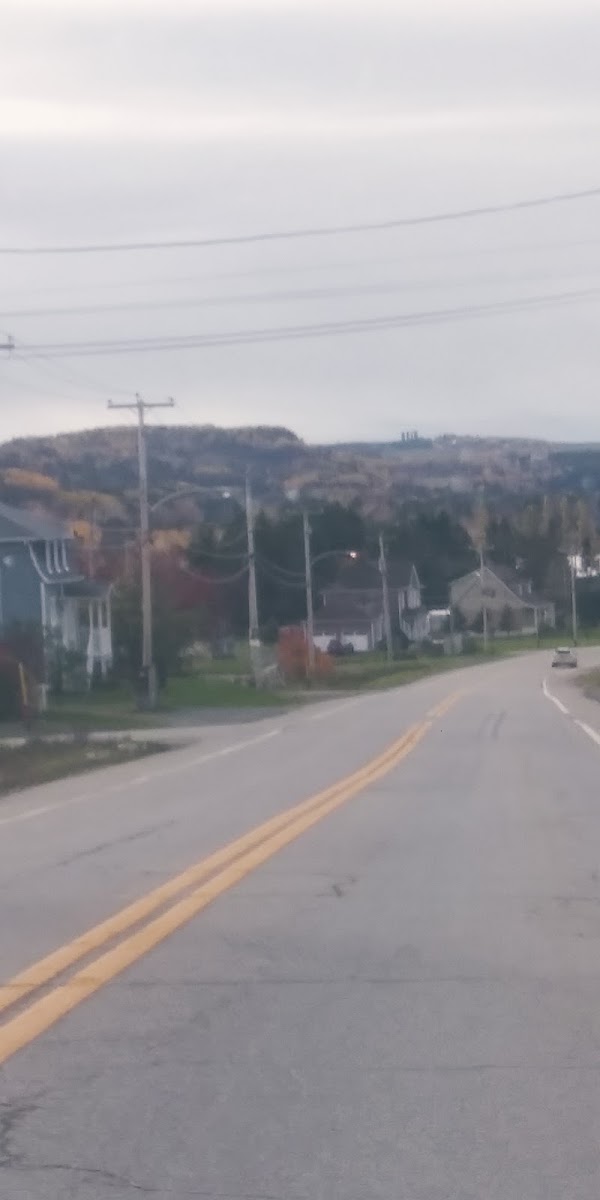 Rimouski 5