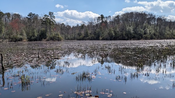 Calvert Cliffs Park Beach 5