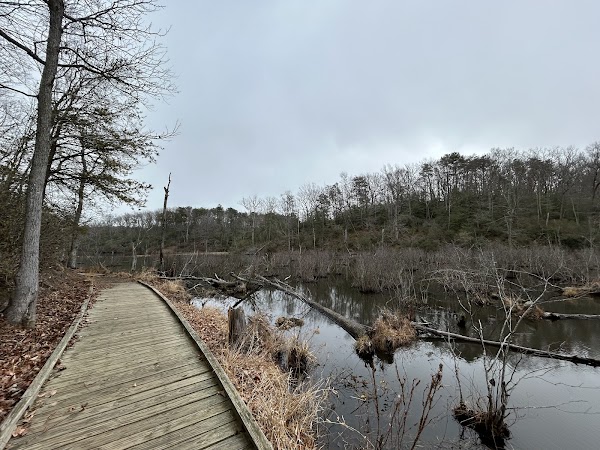 Calvert Cliffs Park Beach 4