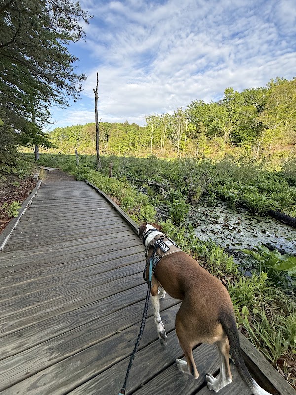 Calvert Cliffs Park Beach 3