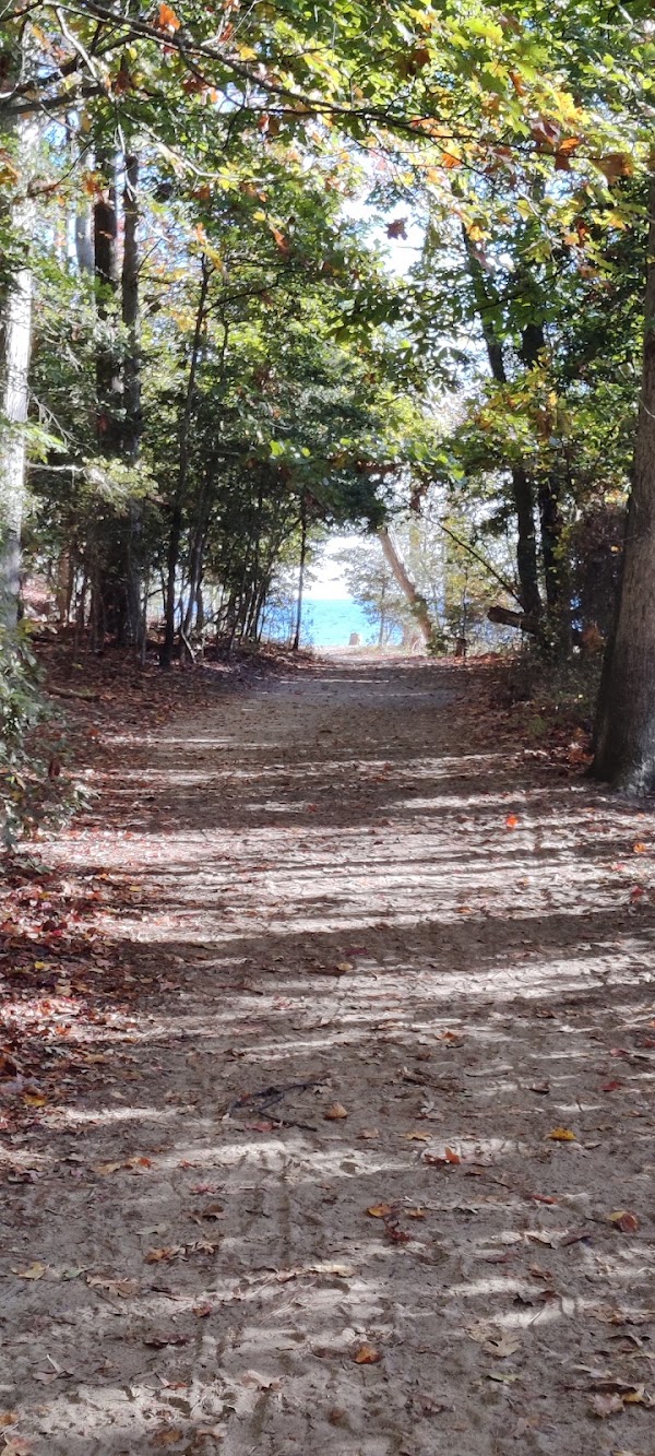 Calvert Cliffs Park Beach 2