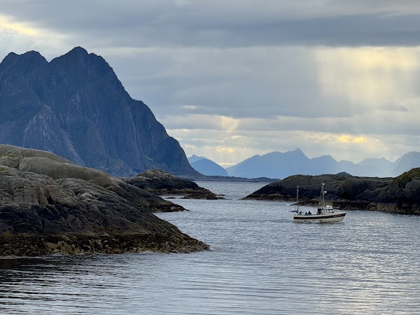 Svinøya 4