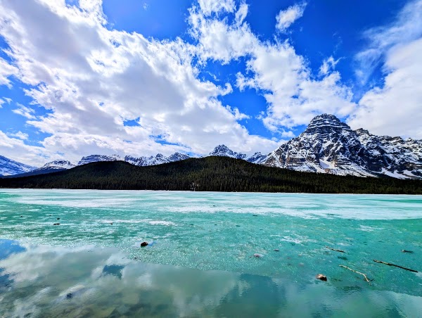 Waterfowl Lake Viewpoint