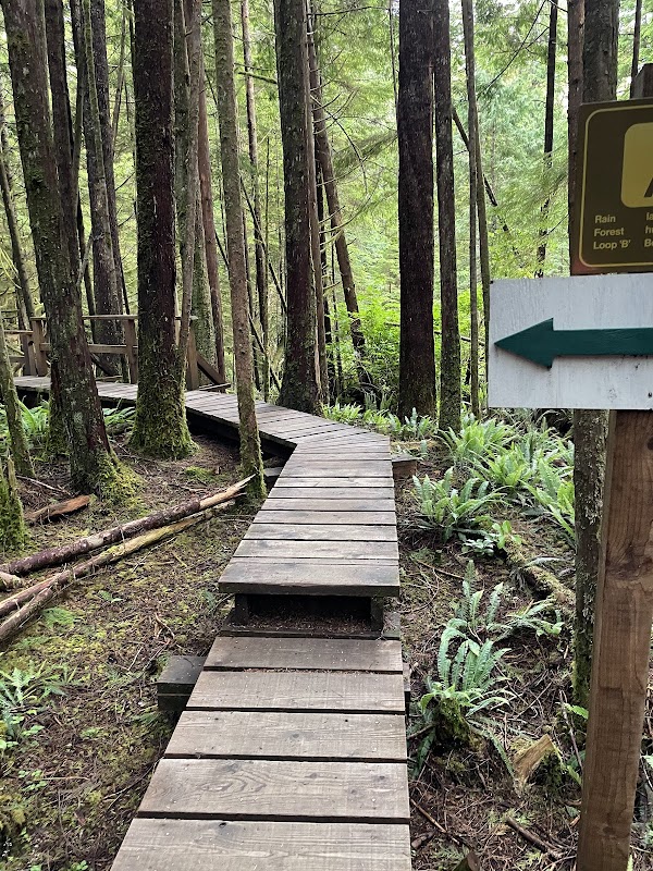 Rainforest Trail 4