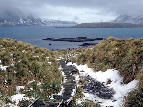 Prion Island