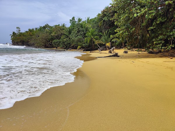 Playa Bluff 1