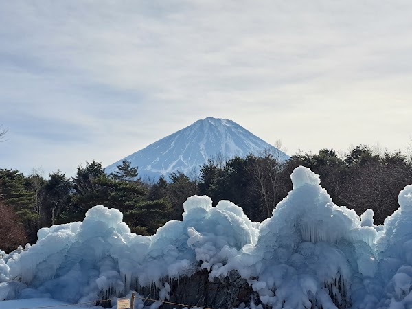 Saiko Wild Bird Forest Park (Fujisan Eco Net)
