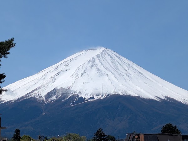 Saiko Wild Bird Forest Park (Fujisan Eco Net) 4