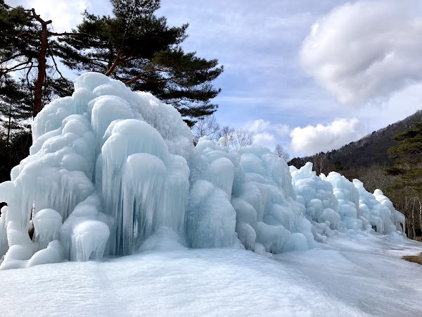 Saiko Wild Bird Forest Park (Fujisan Eco Net) 3