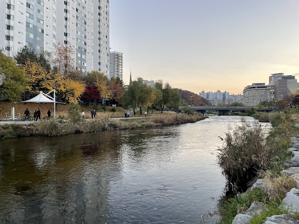 Tancheon