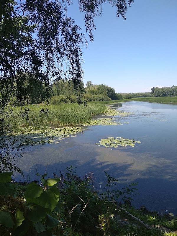 Samara 1