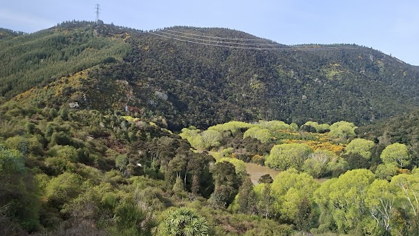 Taieri Gorge 2