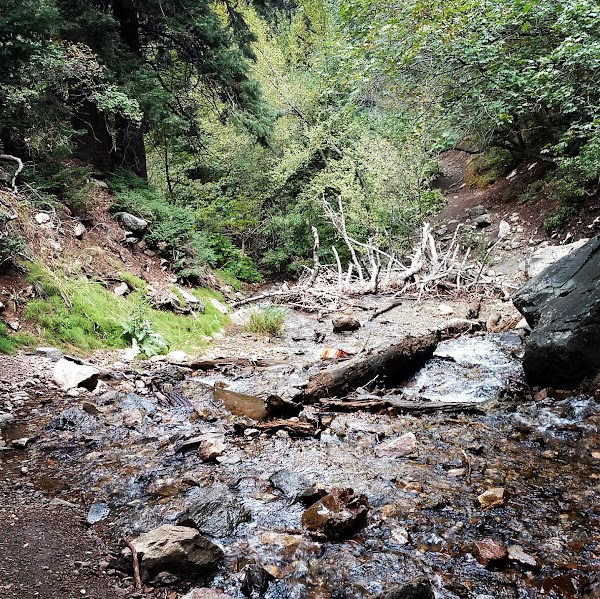 Adams Canyon Trail 4