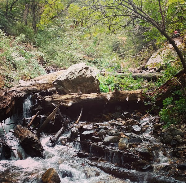 Adams Canyon Trail 2