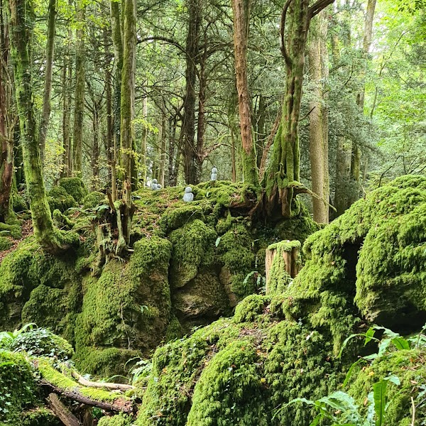 Puzzlewood 5