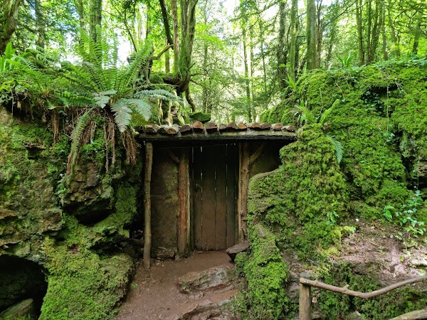Puzzlewood 3